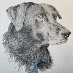 8" x 10" Drawing